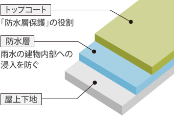 屋上下地の上に雨水の建物内部への浸入を防ぐ防水層、「防水層保護」の役割のトップコートからなる密着工法