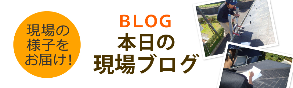 神埼市、佐賀市、神埼郡吉野ヶ里町やその周辺エリア、その他地域のブログ