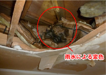 屋根裏の雨漏りによってできた変色